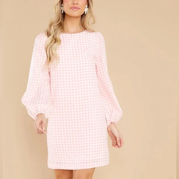 Red Dress Boutique Carefreely Content Pink Gingham Mini Dress M - Picture 2 of 5